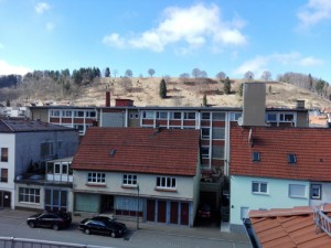 Ausblick-Haus-Raichberg